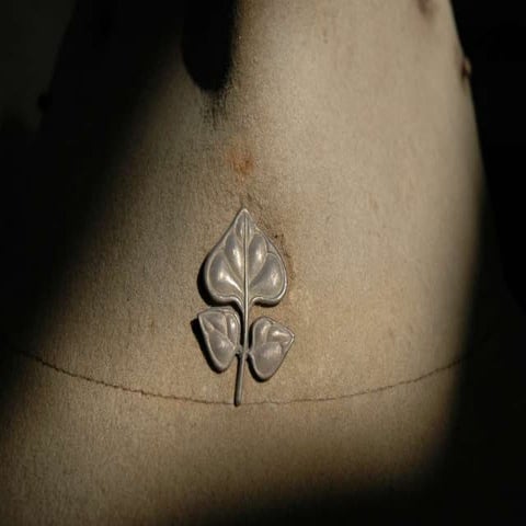 In the Tracks Of Giants, Ian McCallum