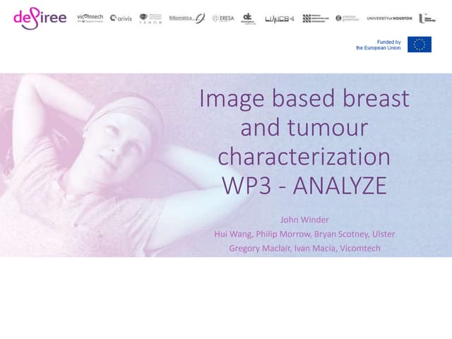 3 image based_breast_analysis_john_winder