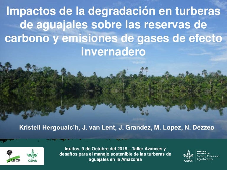 thumbnail of  Impactos de la degradación en turberas de aguajales sobre las reservas de carbono y emisiones de gases de efecto invernadero