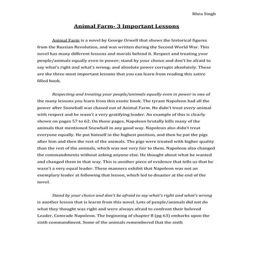 3 Important Lessons- Essay