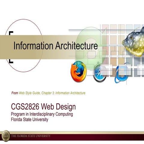 3 Information Architecture