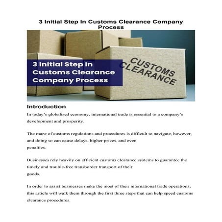 3 Initial Step In Customs Clearance Company Process.pdf