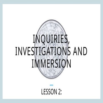 Lesson 2-Identifying the problem and asking questions