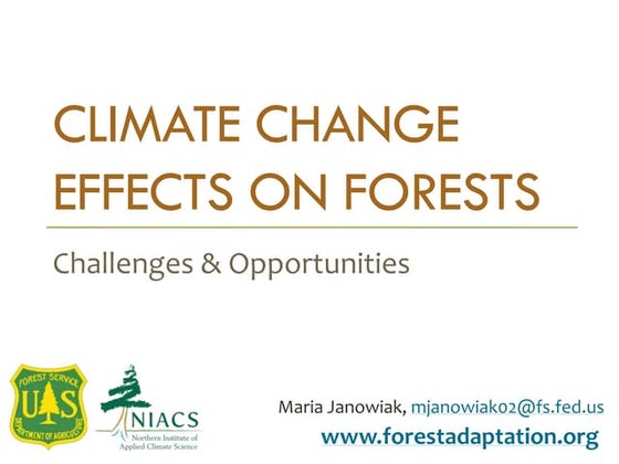 Climate Change Effects on Forest