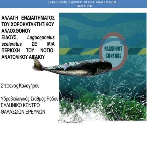 Habitat shift of the invasive and pest pufferfish, Lagocephalus sceleratus, in an area of the south-eastern Aegean Sea.
