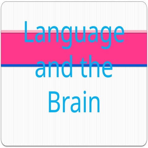 3_Language and the Brains Final11111111.pptx