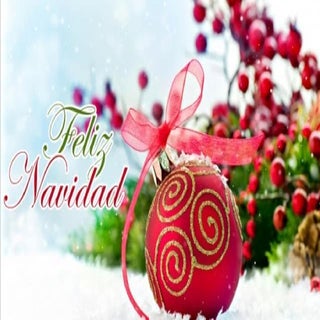 Presentación gema y rocio