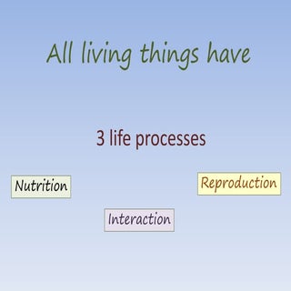 All livin things have 3 life processes