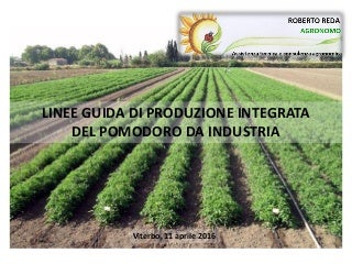 3 lotta integrata pomodoro 11.04.2016