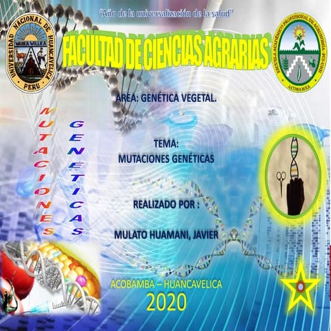 Mutaciones genéticas