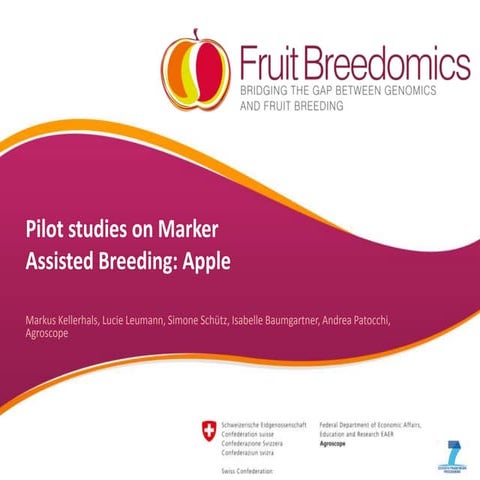 3 mab apple kellerhals markus