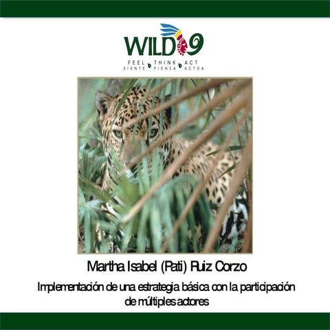 Implementing a Grassroorts Strategy Involving Multiple Stakeholders, Pati Ruiz