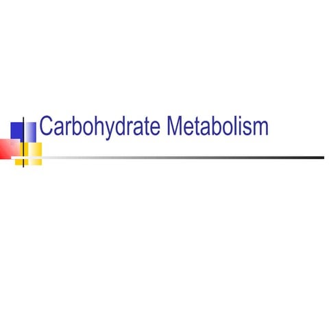 3metabolismofcarbohydrates-130630024656-phpapp01.pdf