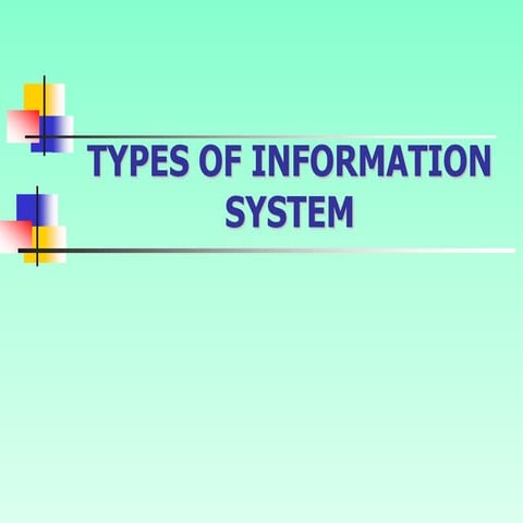 3 mis & business functions