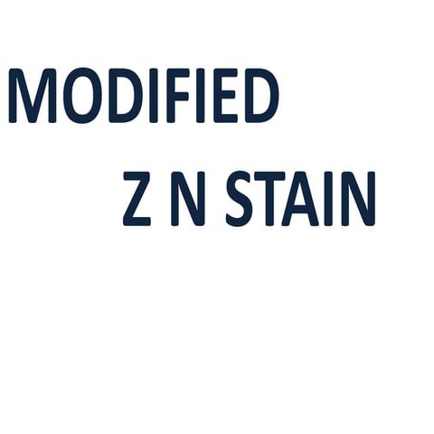 Modified Ziehl-Neelsen Stain