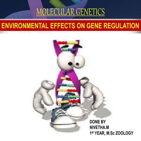 ENVIRONMENTAL EFFECTS ON GENE REGULATION