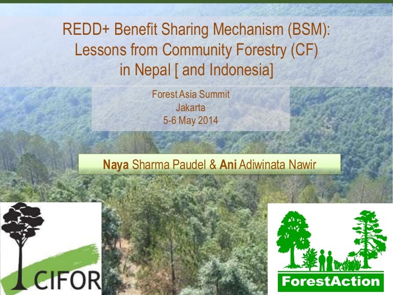 thumbnail of  REDD+ Benefit Sharing Mechanism (BSM): Lessons from Community Forestry (CF) in Nepal (and Indonesia)
