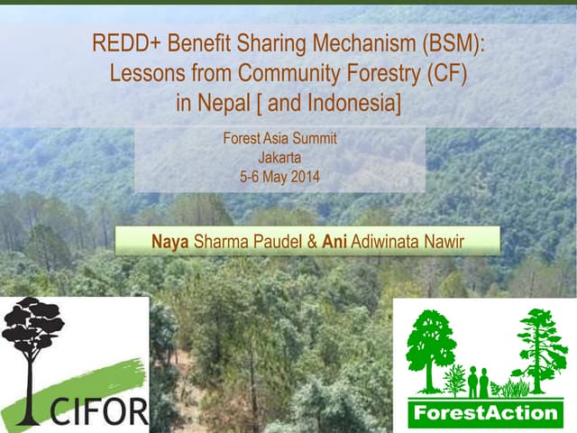 thumbnail of  REDD+ Benefit Sharing Mechanism (BSM): Lessons from Community Forestry (CF) in Nepal (and Indonesia)