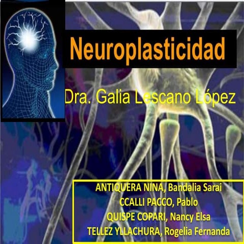 3 neuroplasticidad