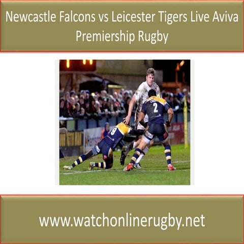  newcastle falcons vs leicester tigers live aviva premiership rugby