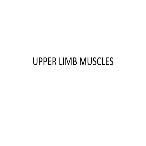 Upper limb muscles