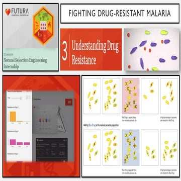 Understanding Drug Resistance