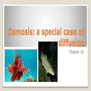 AS Biology - Osmosis