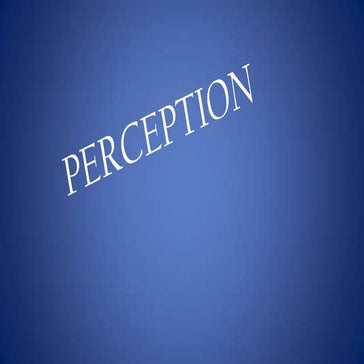 3 perception