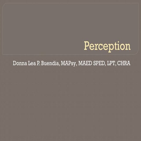 Comprehensive Exploration of Perception: Processes, Influences, and ...