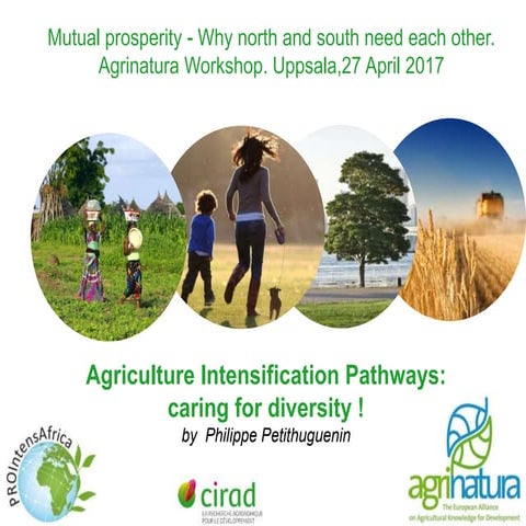 Collaboration Exploring and Caring for the Diversity of Agriculture Intensifi...
