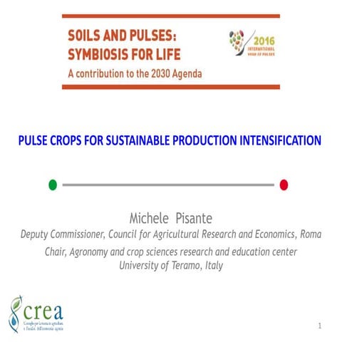 PULSE CROPS FOR SUSTAINABLE PRODUCTION INTENSIFICATION