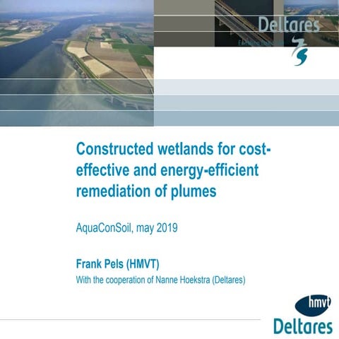 Constructed wetlands for costeffective and energy-efficient remediation ...