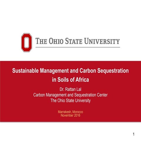 Sustainable Management and Carbon Sequestration in Soils of Africa