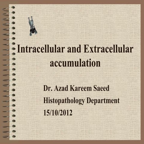 Intracellular and Extracellular accumulation
