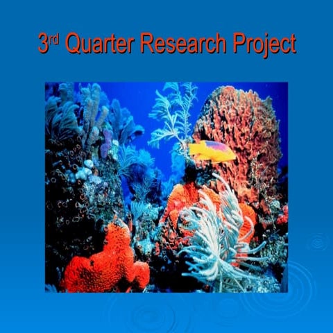 3rd Quarter Research Project