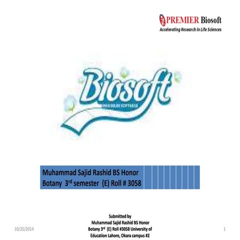 BioSoft | PPTX