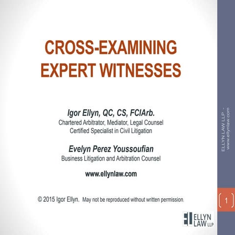 Cross-Examinagin Expert Witnesses in Business Litigation