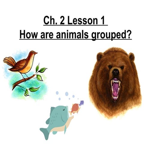3rdgrade ch-2lesson1howareanimalsgrouped-110907181124-phpapp01