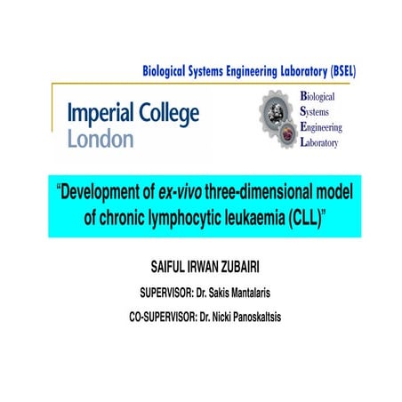 3rd Group Meeting VIVA M.Phil Transfer 2010 2nd Draft