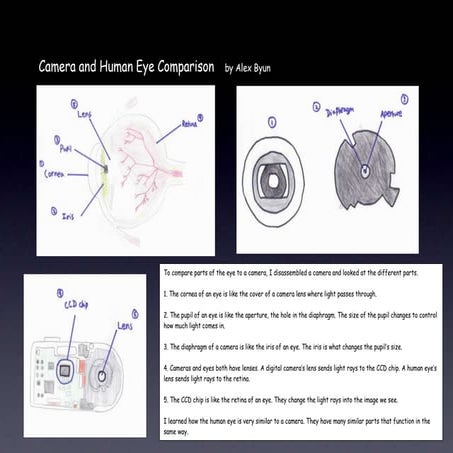 3rd science project | PPT