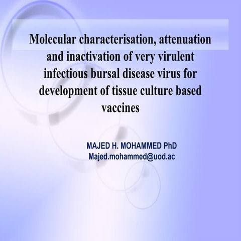 Molecular characterisation, attenuation and inactivation of very virulent inf...