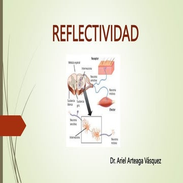 fisiologia de la EXPLORACION DE LOS REFLEJOS.pptx