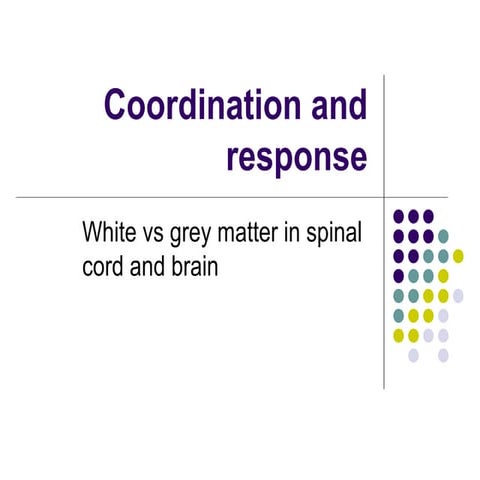 Chapter 14: The Nervous System Part 3 - Reflex Actions