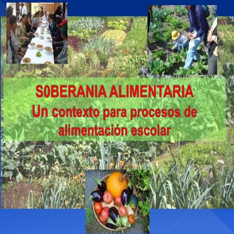 Seguridad y Soberanía Alimentaria realizado por Roberto Gortaire, de la Confe...