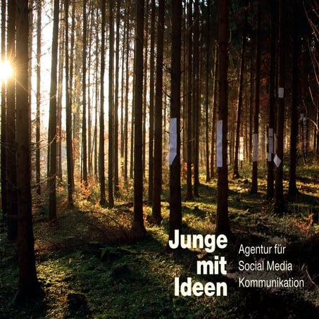 Das 3 Schritte Konzept