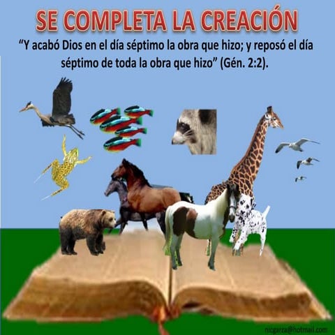 3 se completa la creacion