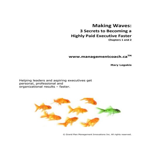 Making Waves: 3 Secrets to Becoming a Highly Paid Executive Faster
