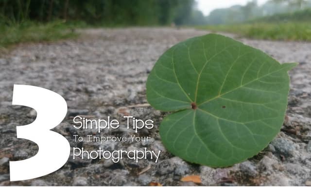 3 simple tips to improve your photo...