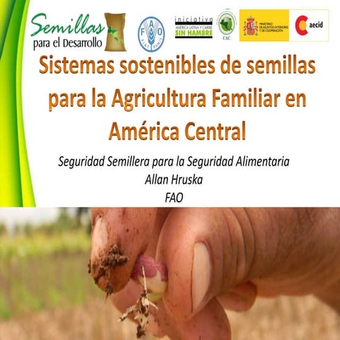 Seguridad Semillera para la Seguridad Alimentaria, Por Allan Hruska