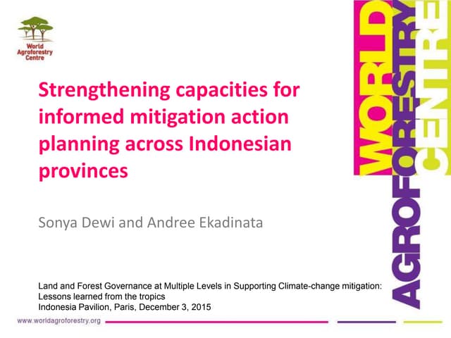Strengthening capacities for informed mitigation action planning across Indonesianprovinces